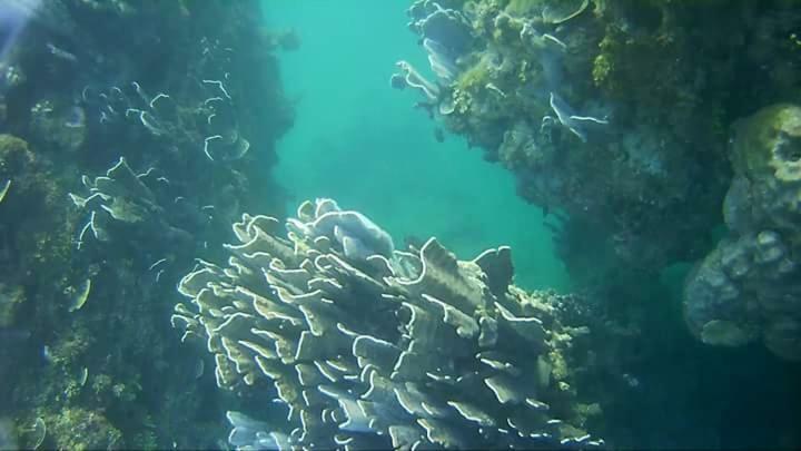 Coco Cabana Romblon Agpanabat Экстерьер фото