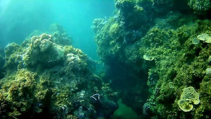 Coco Cabana Romblon Agpanabat Экстерьер фото